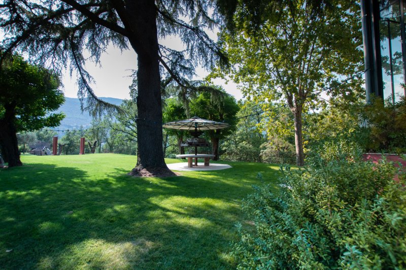Domaine du Riodam - photo 3