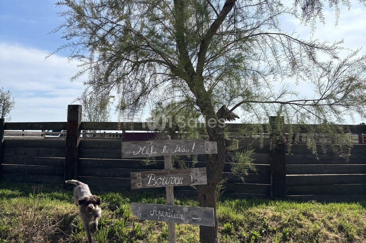 Un chien marche près d'un arbre avec des panneaux en bois indiquant ’Aide-toi !’, ’Bonjour !’ et ’Aspiration →’.