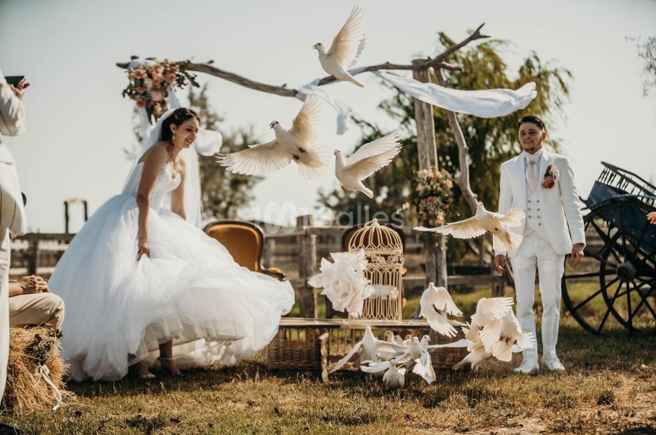 Un couple en tenue de mariage libère des colombes blanches lors d'une cérémonie en plein air.