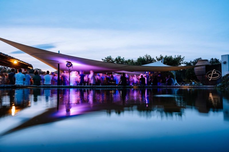 Domaine Le Billardier - photo 4