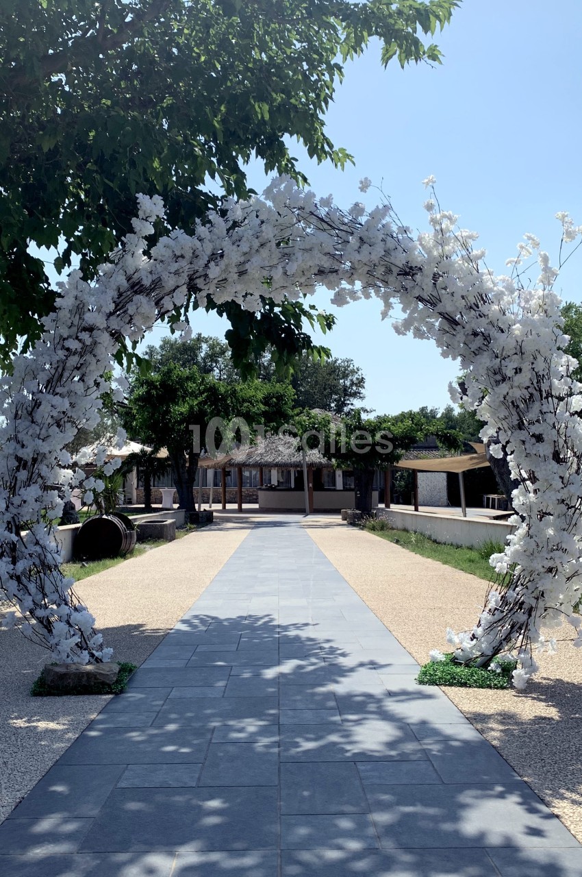Arche décorée de fleurs blanches sur une allée pavée, entourée d'arbres et de bâtiments en arrière-plan.
