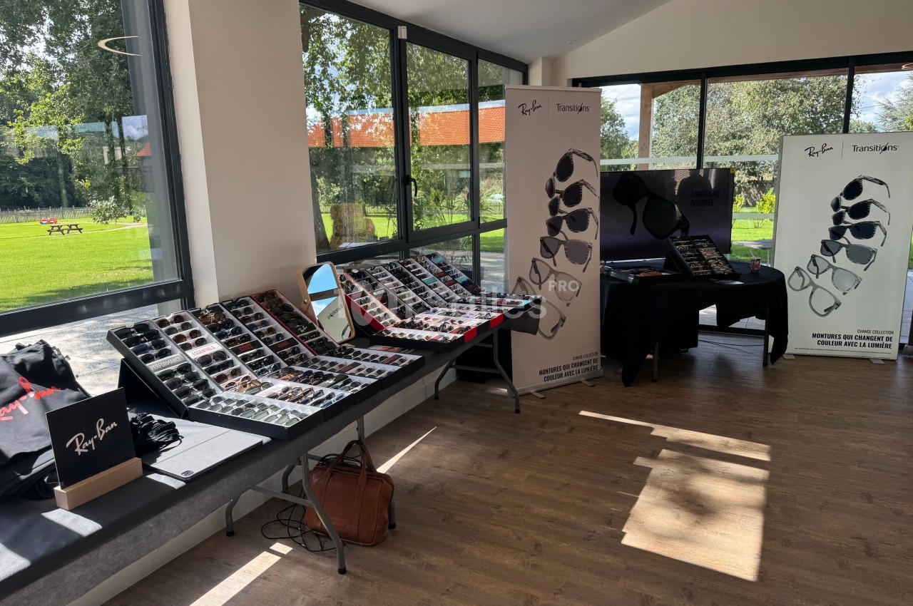 Présentoirs de lunettes de soleil exposés dans une salle lumineuse avec vue sur un espace extérieur verdoyant.