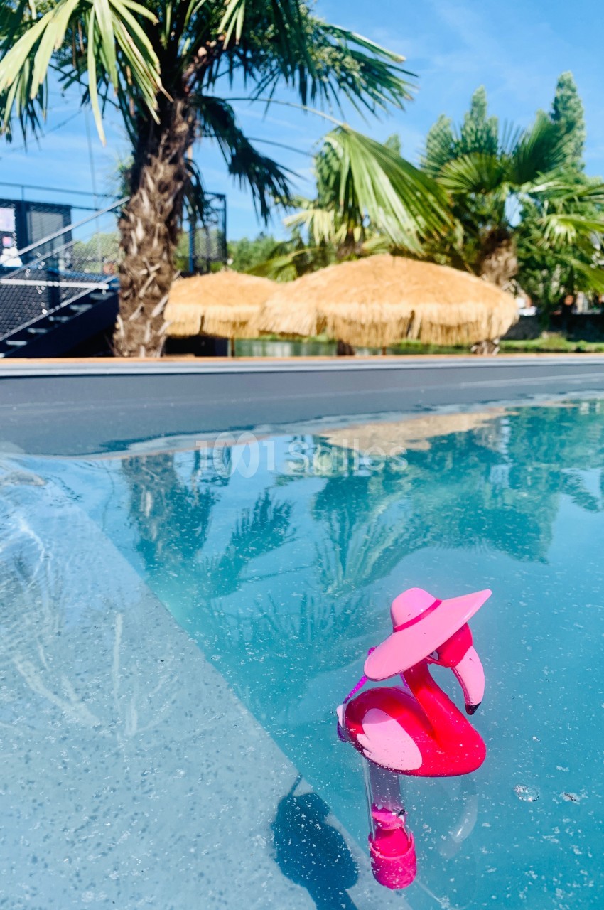 Un flamant rose miniature flotte dans une piscine entourée de palmiers et d'une cabane au toit de chaume.