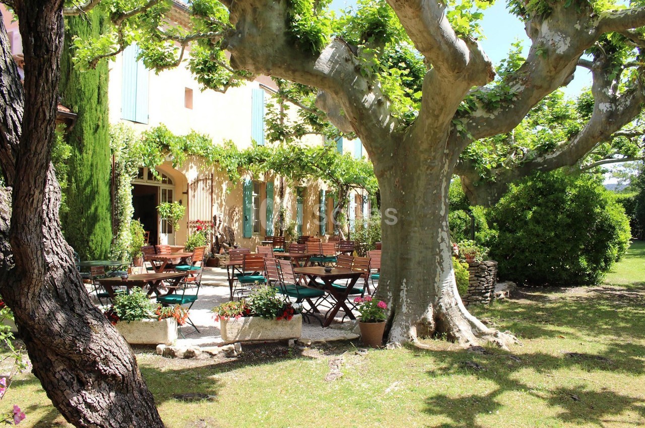 Hôtel Mas des Grès & Restaurant Sous les Platanes - galerie - photo 3