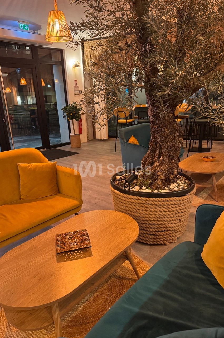 Salon chaleureux avec fauteuils colorés, table basse en bois et grand olivier en pot dans un espace lumineux.