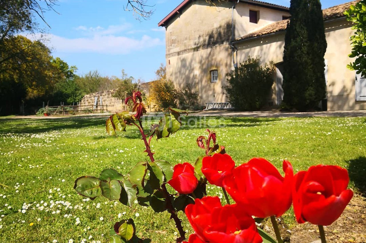 Roses rouges en premier plan dans un jardin verdoyant, avec une maison en pierre et un ciel bleu en arrière-plan.