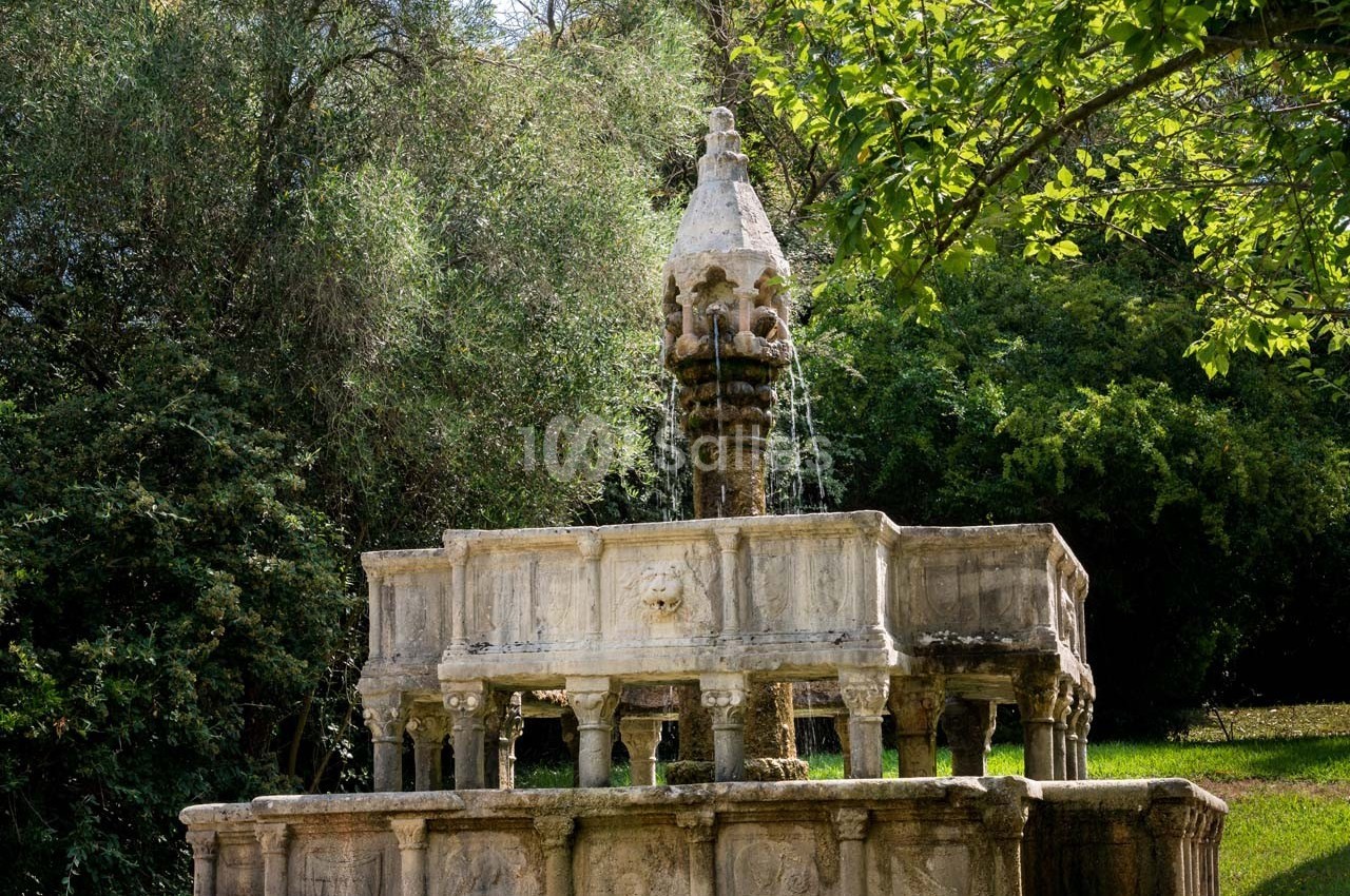 Fontaine en pierre ornée de sculptures, entourée de végétation dense et éclairée par la lumière naturelle.