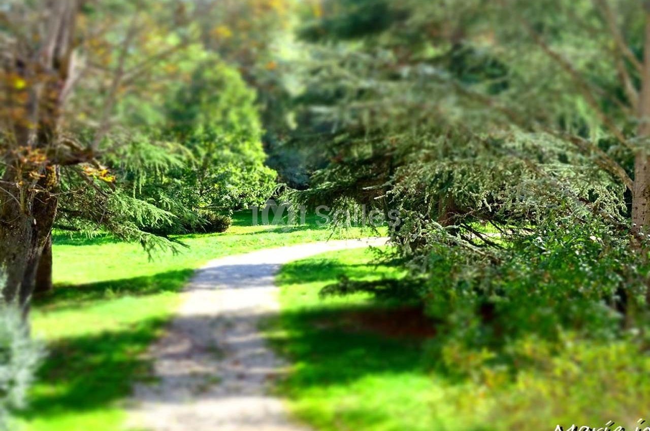 Domaine Del Luz - galerie - photo 6