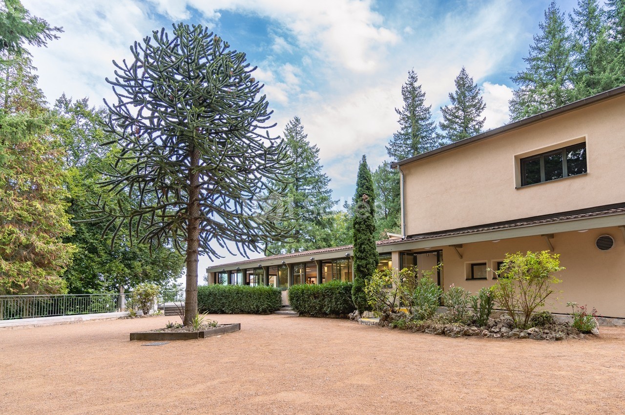 Bâtiment beige entouré de végétation, avec un grand arbre exotique au premier plan et un ciel partiellement nuageux.