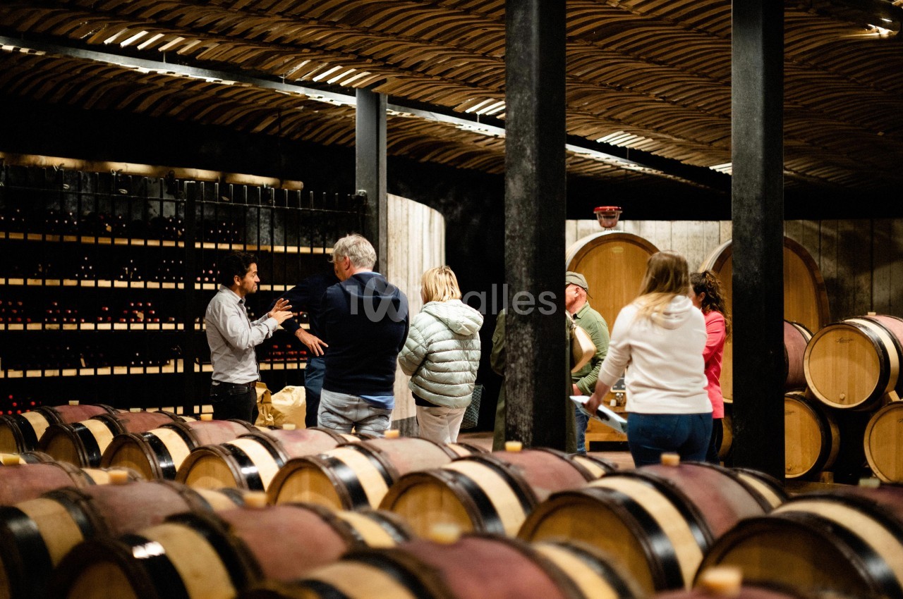 Village Castigno - galerie - photo 60