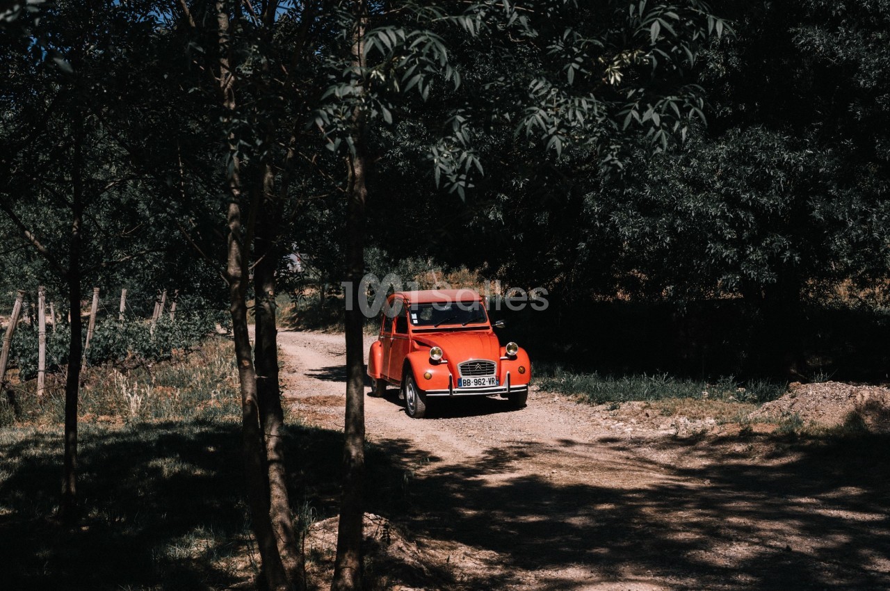 Village Castigno - galerie - photo 114