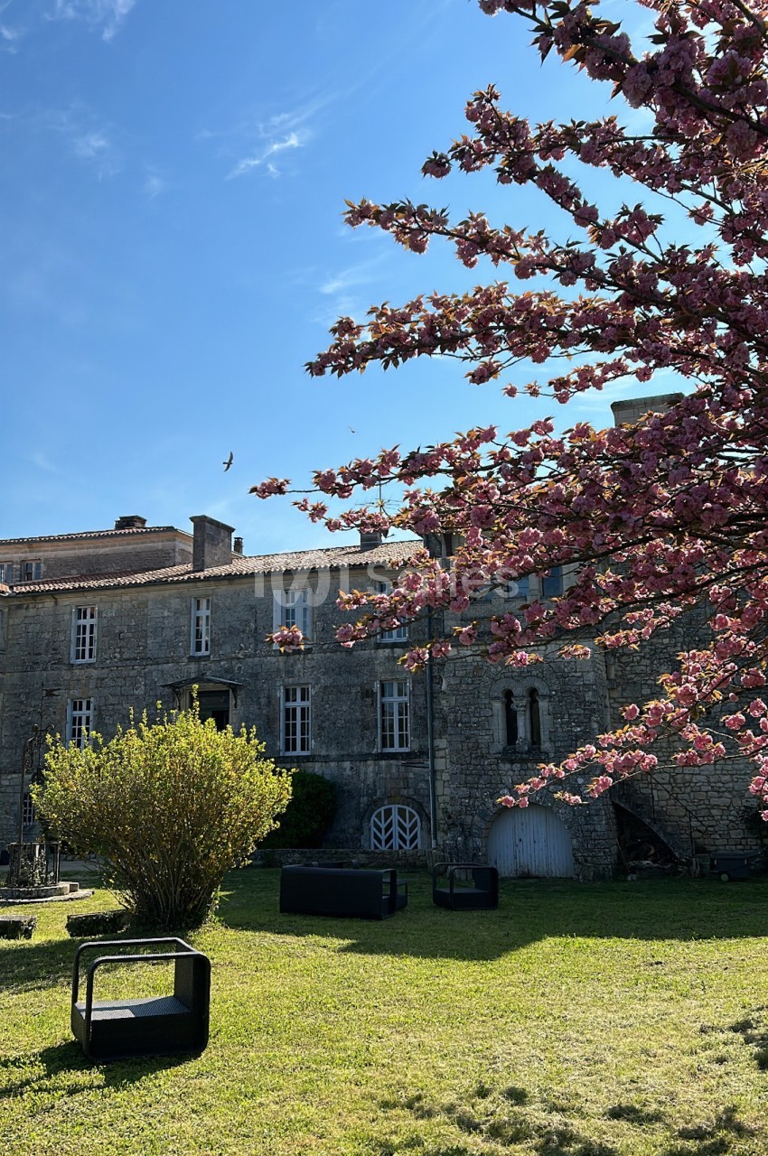 Château de la Chaume - galerie - photo 14
