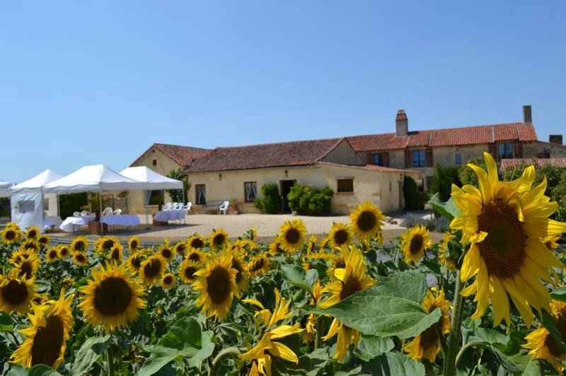 Le Mas D'anjou - photo 1