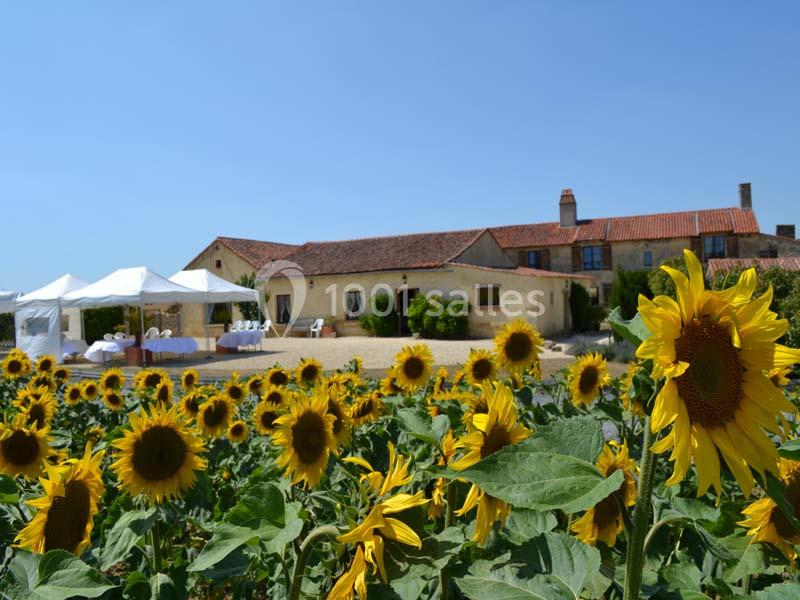 Le Mas D'anjou - galerie - photo 1