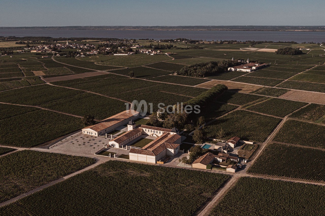 Vue aérienne d'un domaine viticole entouré de vignes, avec un fleuve visible à l'horizon.