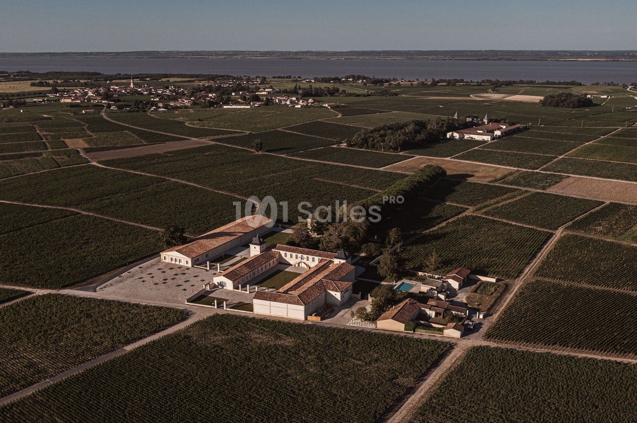 Vue aérienne d'un domaine viticole entouré de vignes, avec un plan d'eau visible à l'horizon.