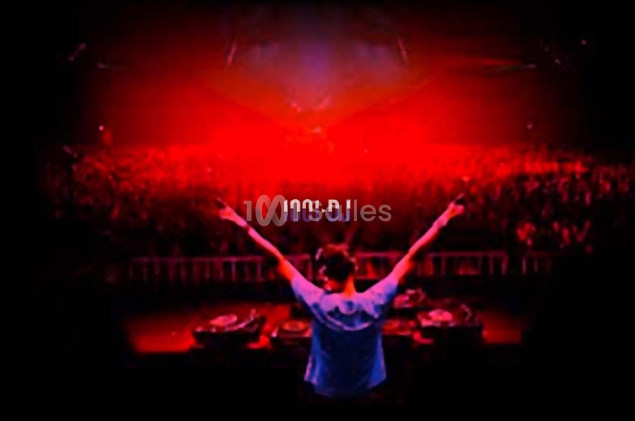 Un DJ de dos, bras levés, face à une foule dans une ambiance lumineuse rouge.
