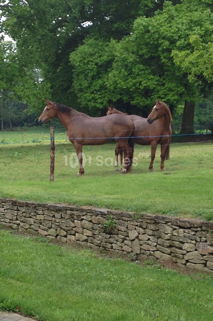 Domaine de la Ferrière - galerie - photo 7