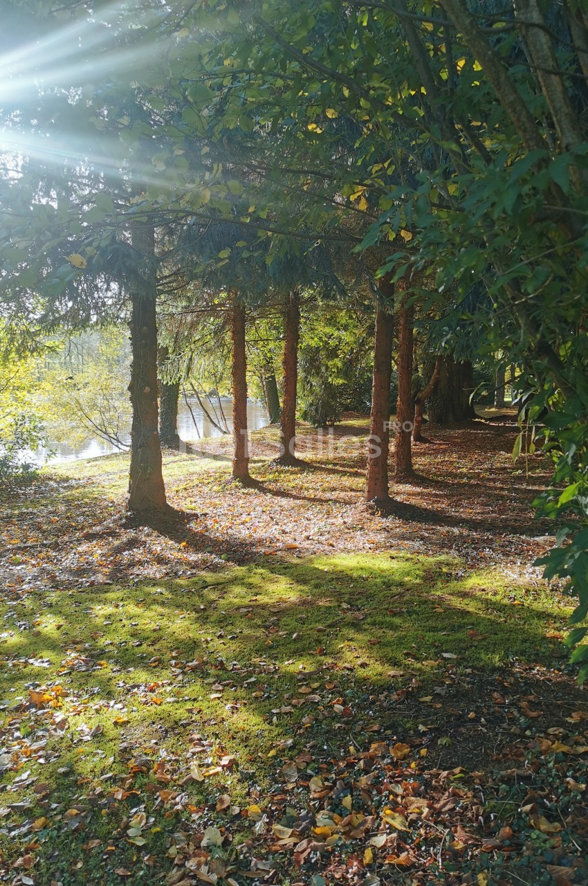 Domaine de la Ferrière - galerie - photo 19
