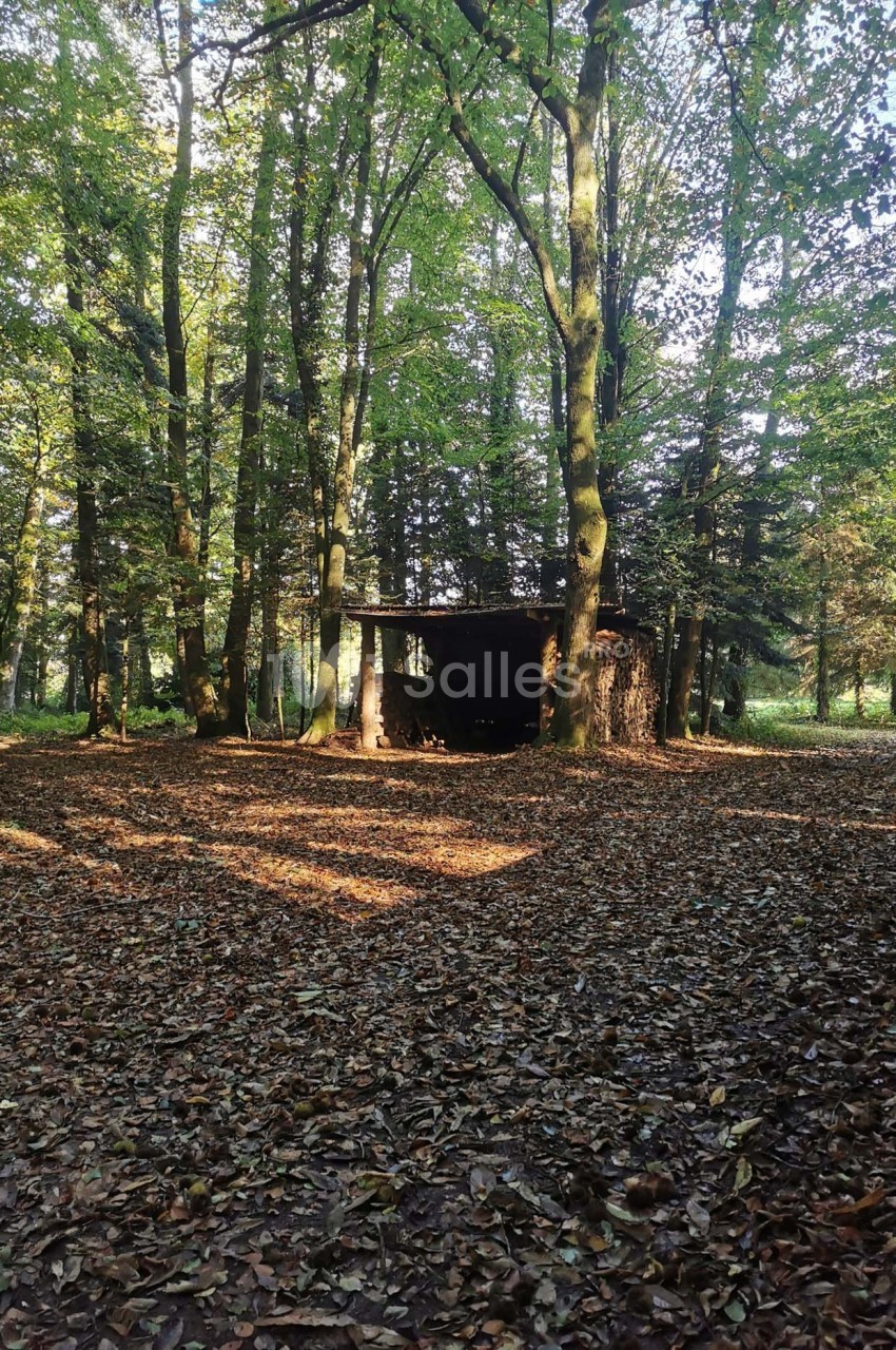 Domaine de la Ferrière - galerie - photo 29