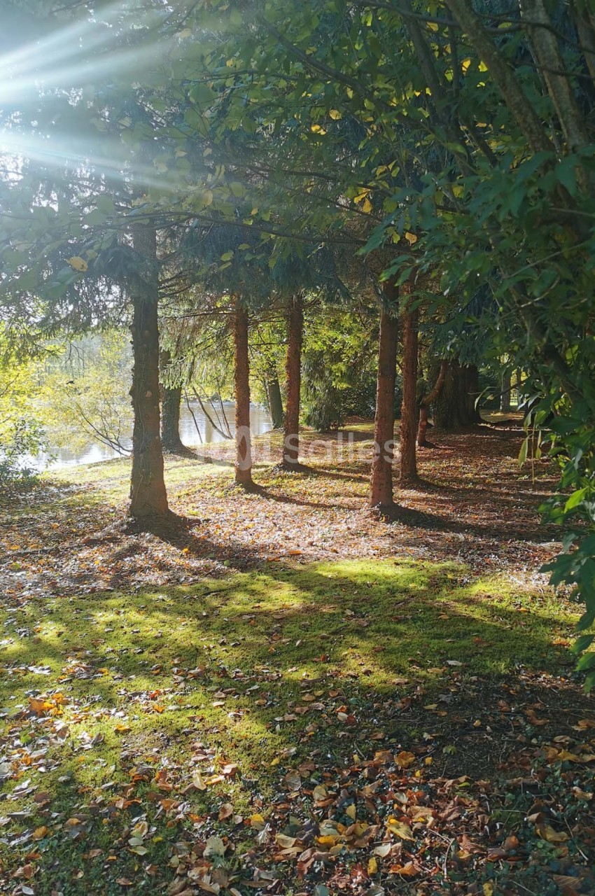 Domaine de la Ferrière - galerie - photo 19