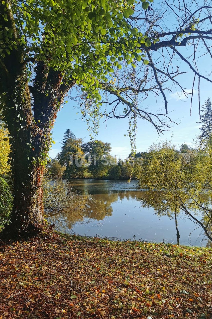 Domaine de la Ferrière - galerie - photo 20