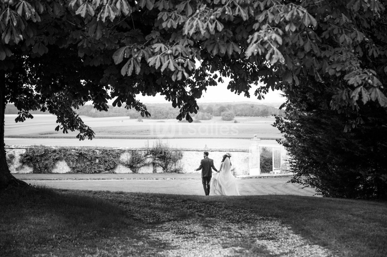 Un couple en tenue de mariage marche main dans la main sous un grand arbre, avec un paysage champêtre en arrière-plan.