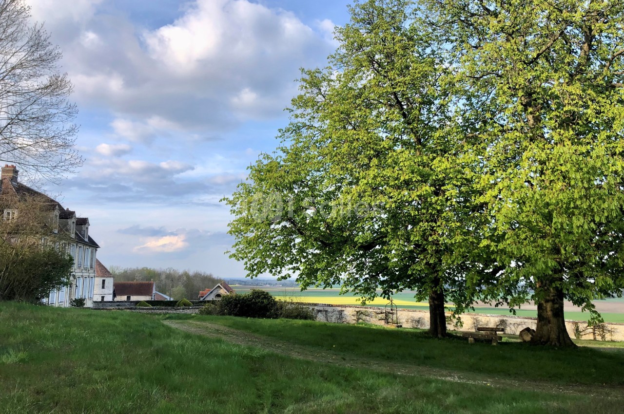 Maison ancienne près d'un grand arbre sur une pelouse verdoyante, avec un paysage champêtre en arrière-plan.