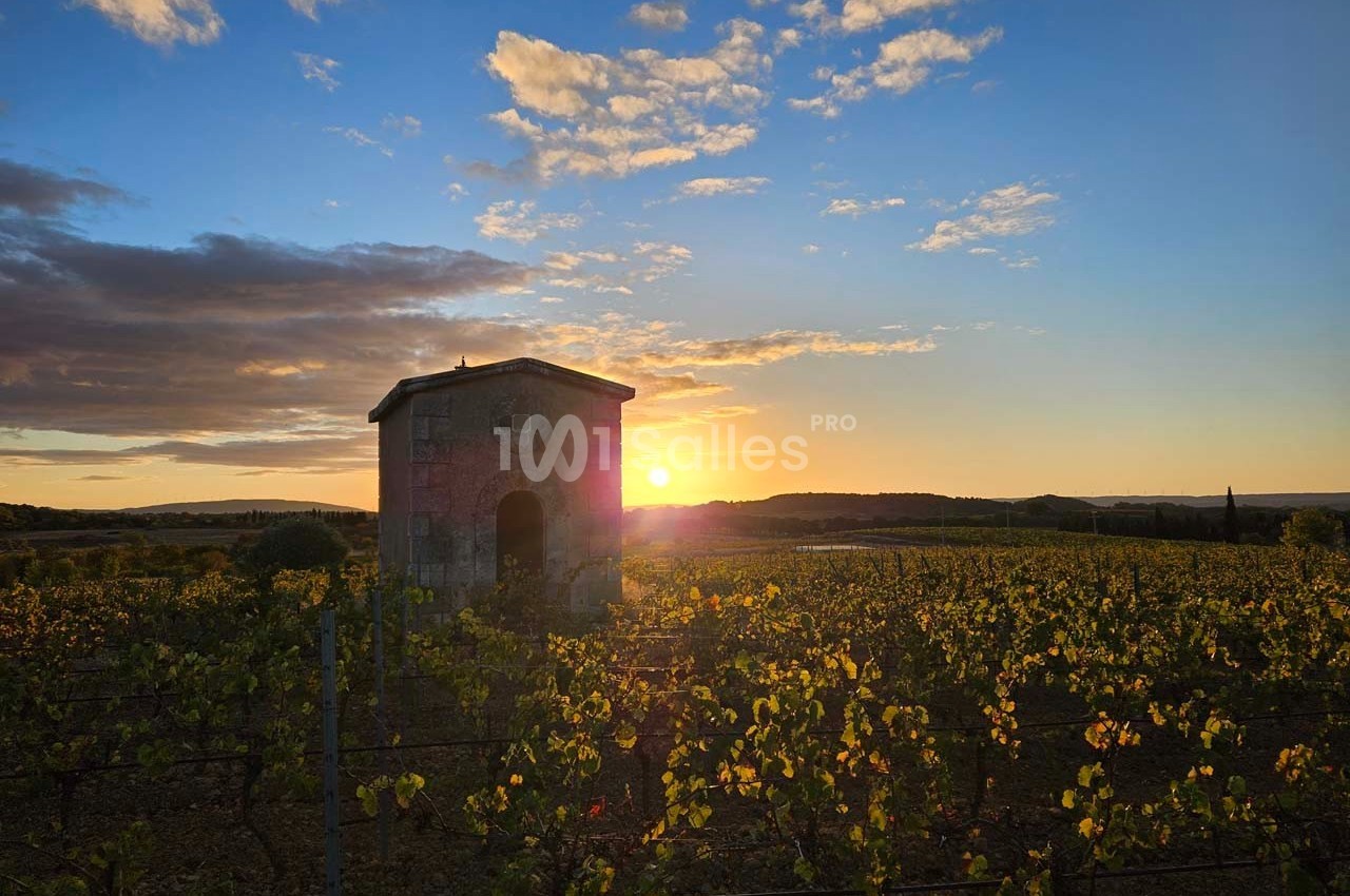 Domaine Saint Augustin  - galerie - photo 8