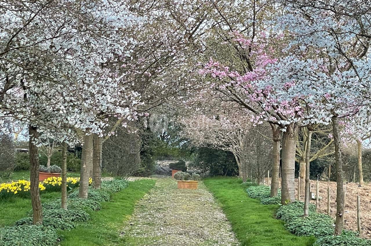 Jardins du Montperthuis - galerie - photo 38