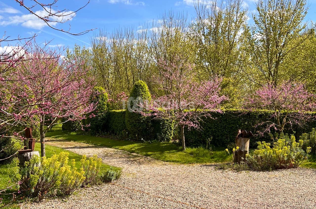Jardins du Montperthuis - galerie - photo 42