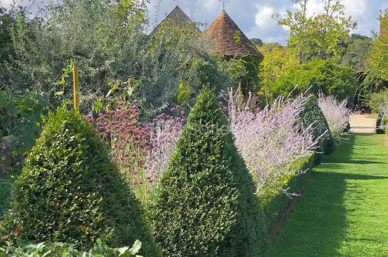 Jardins du Montperthuis - galerie - photo 44