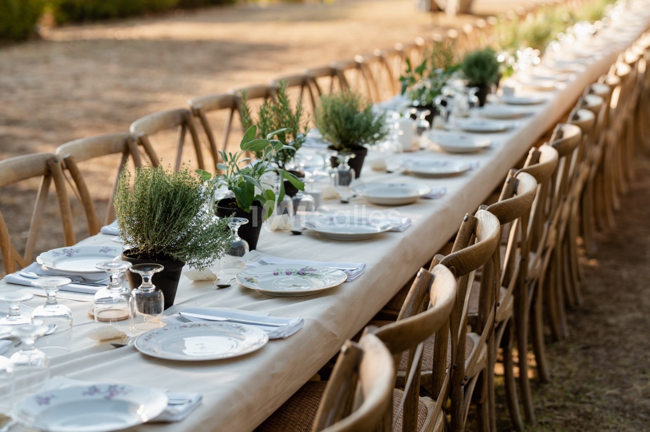 Verveine en Provence - galerie - photo 21
