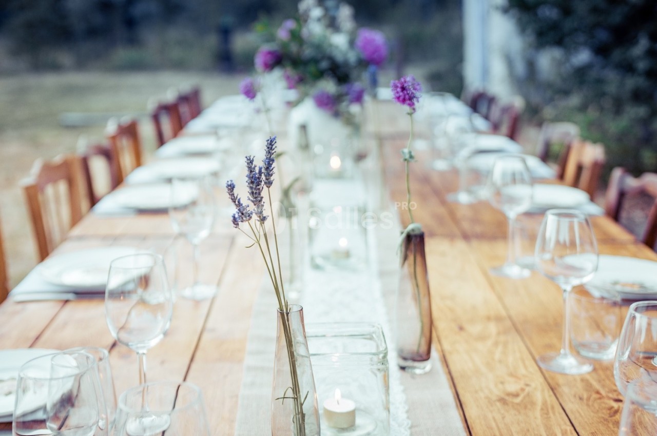 Verveine en Provence - galerie - photo 15