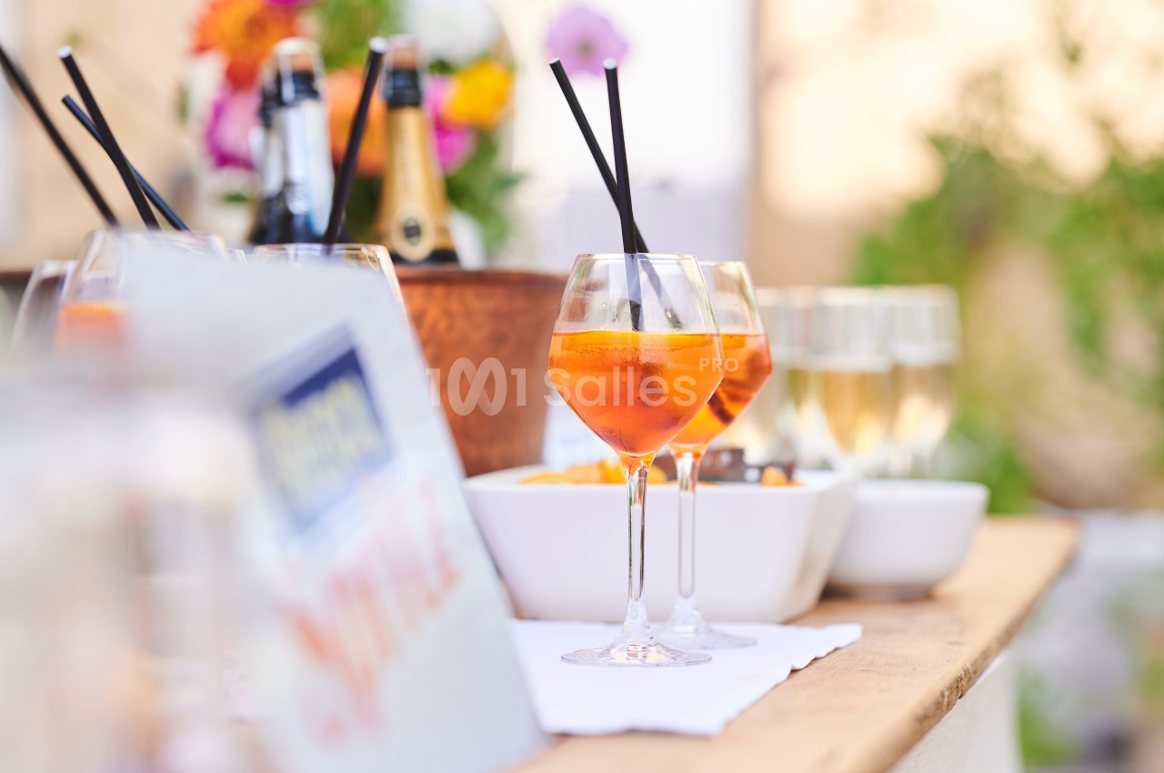 Verveine en Provence - galerie - photo 10