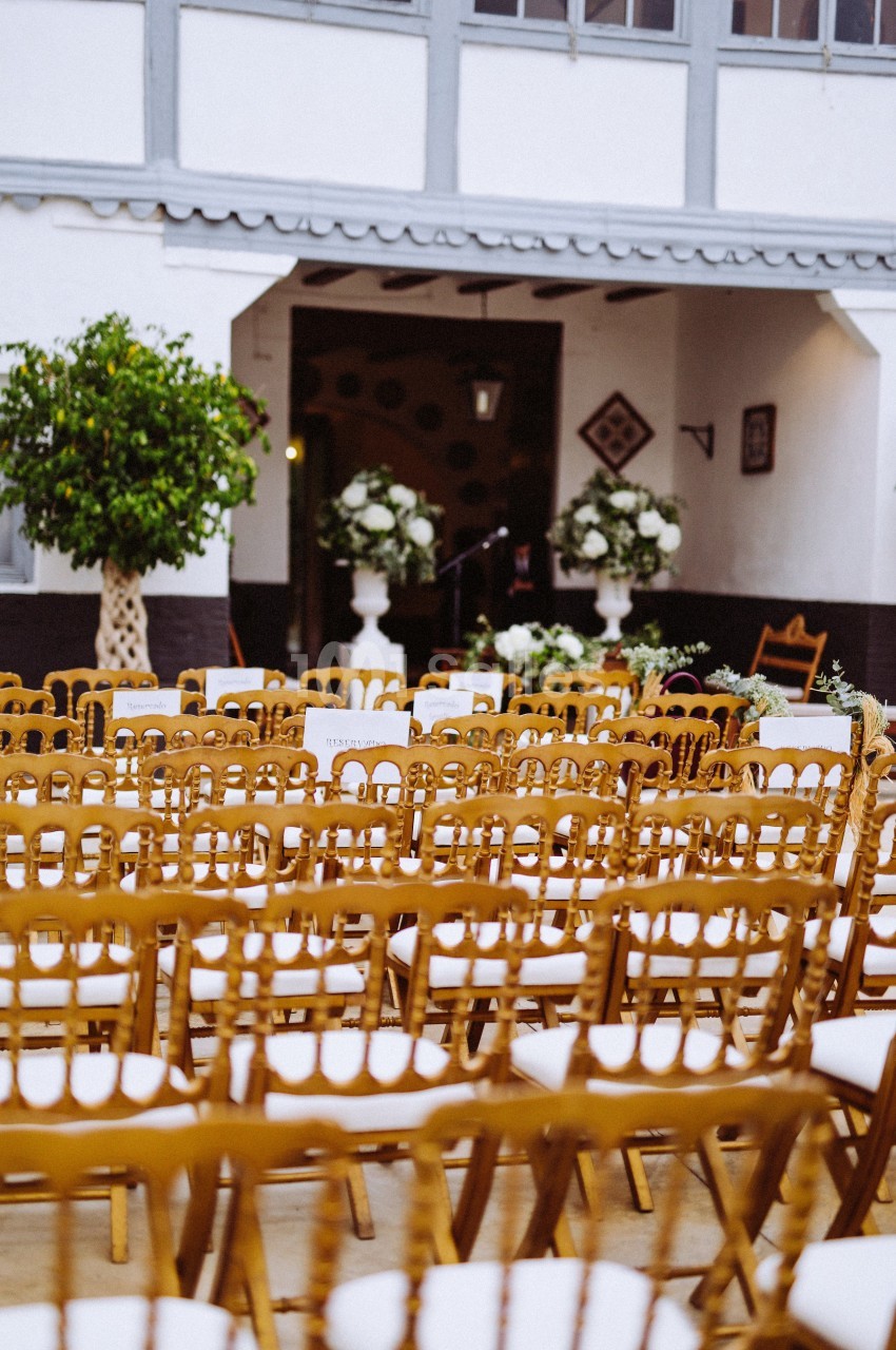 Chaises en bois alignées devant une arche décorée de fleurs blanches dans une cour extérieure.