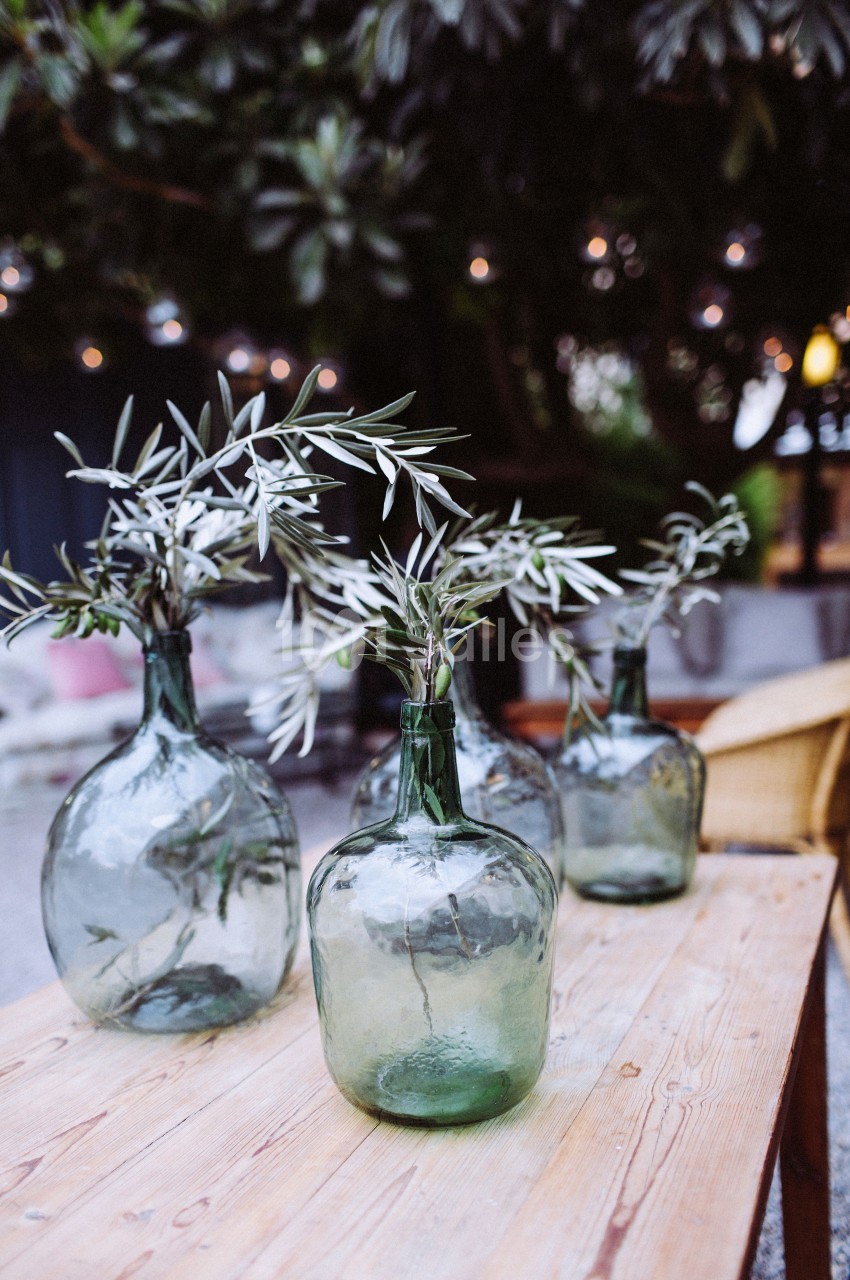 Quatre vases en verre vert contenant des branches d'olivier, posés sur une table en bois en extérieur.
