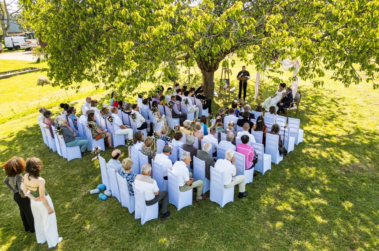 Cérémonie de mariage en plein air sous un grand arbre, avec des invités assis sur des chaises blanches.