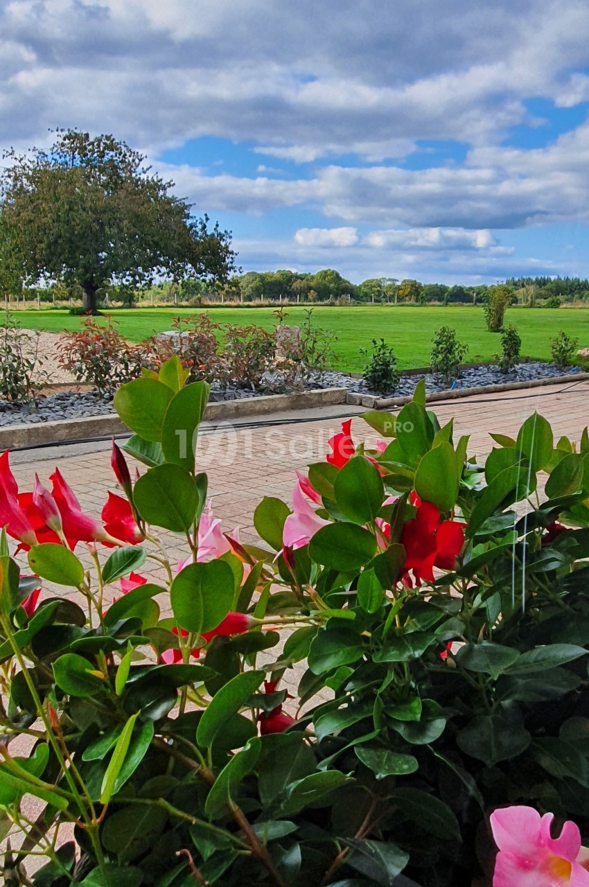Massif de fleurs rouges et roses au premier plan, avec un arbre isolé et un paysage verdoyant sous un ciel partiellement…