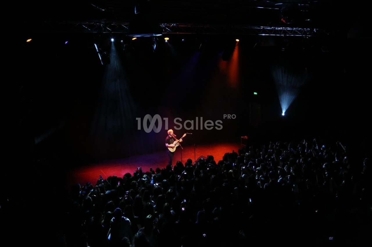 Un musicien joue de la guitare sur une scène éclairée, face à une foule dans une salle sombre.