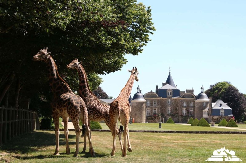 Domaine de la Bourbansais - photo 1