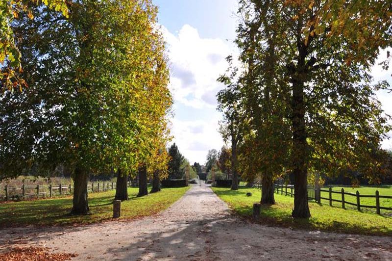 Domaine du Parc - photo 4