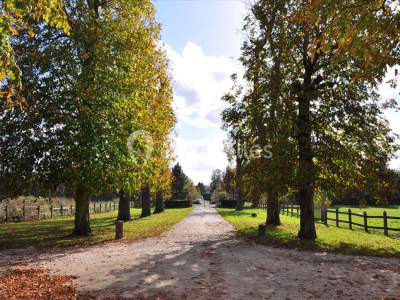 Chemin bordé d'arbres aux feuilles partiellement jaunies, avec une clôture en bois et un ciel partiellement nuageux.