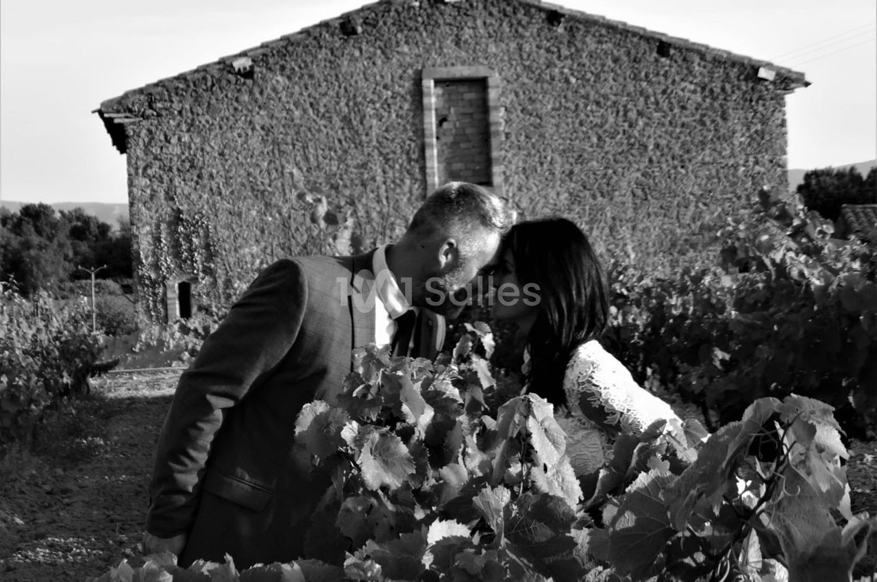 Domaine Saint Augustin - galerie - photo 26
