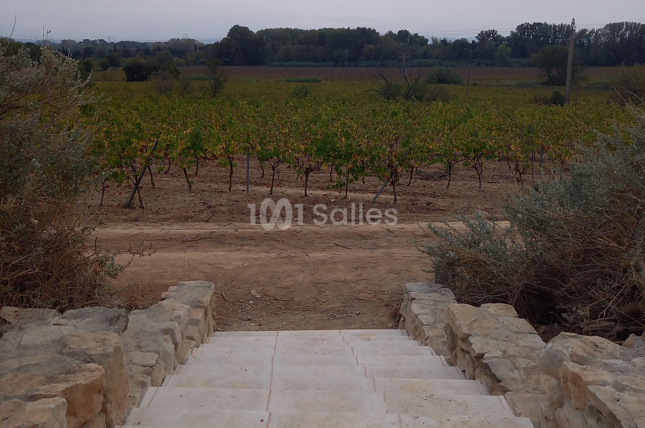 Domaine Saint Augustin - galerie - photo 29