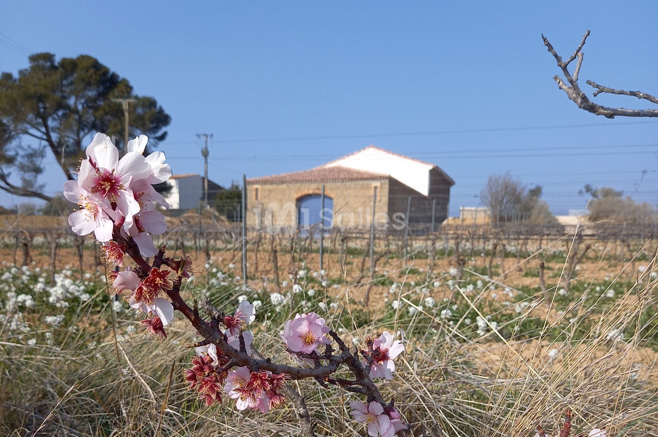 Domaine Saint Augustin - galerie - photo 14