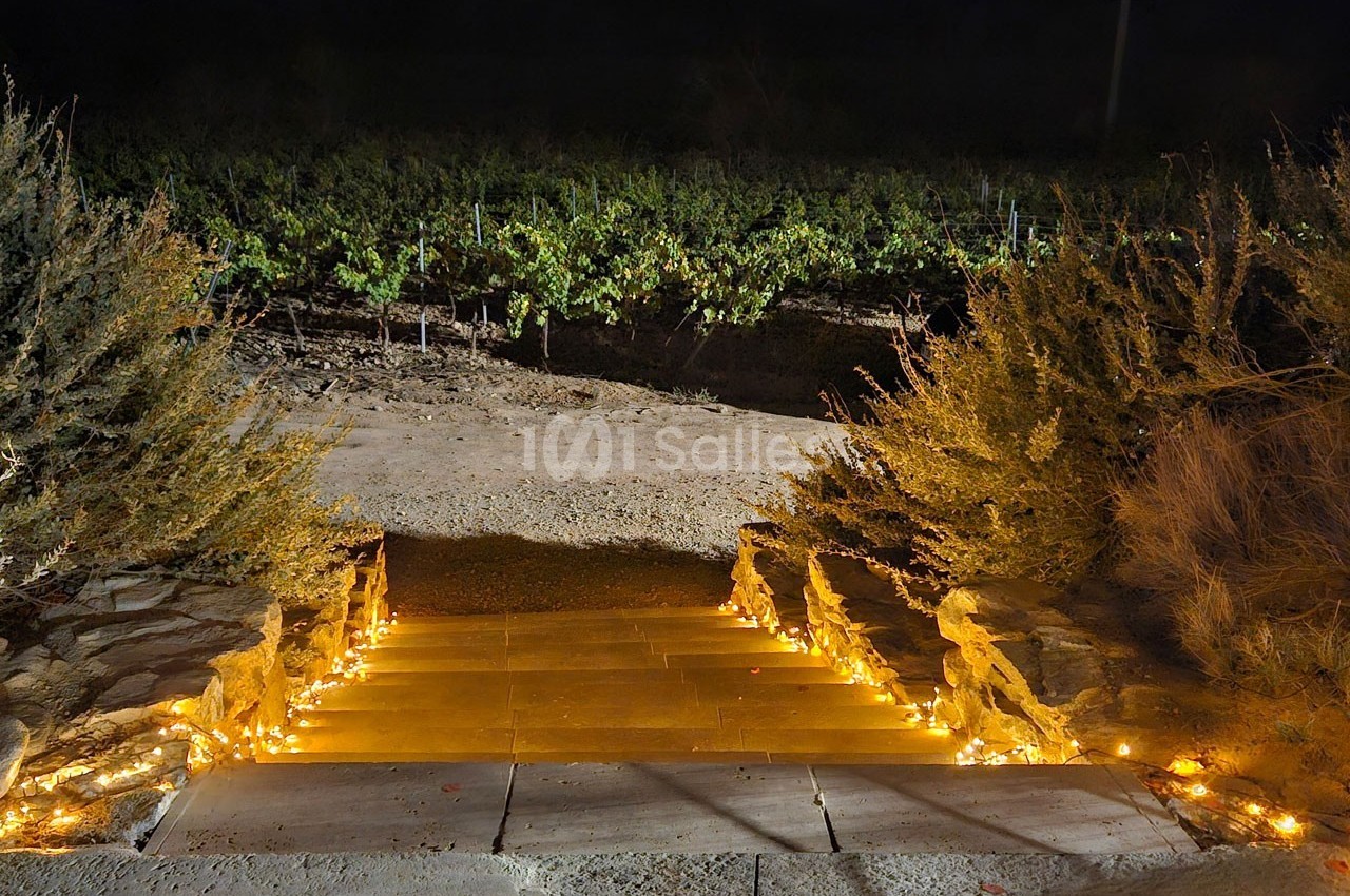 Domaine Saint Augustin - galerie - photo 23
