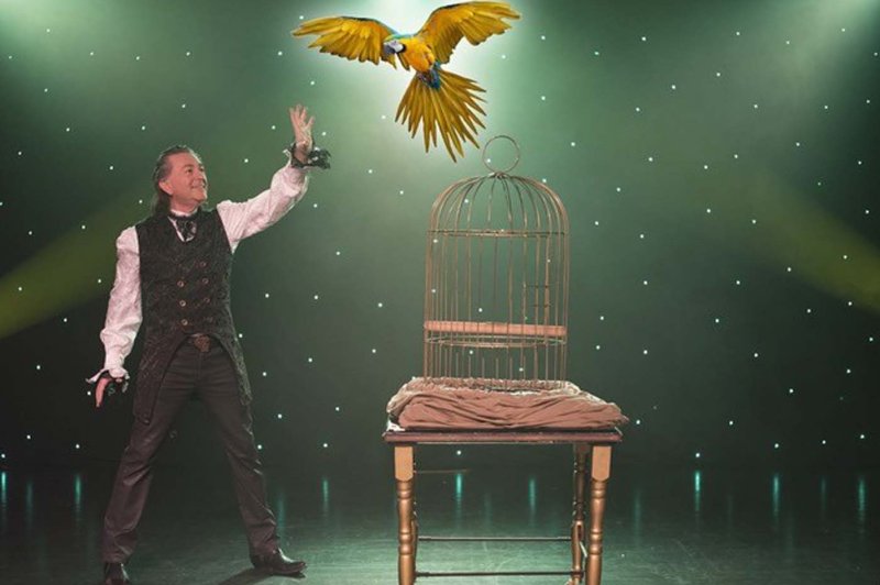 Alphonse le magicien - photo 1