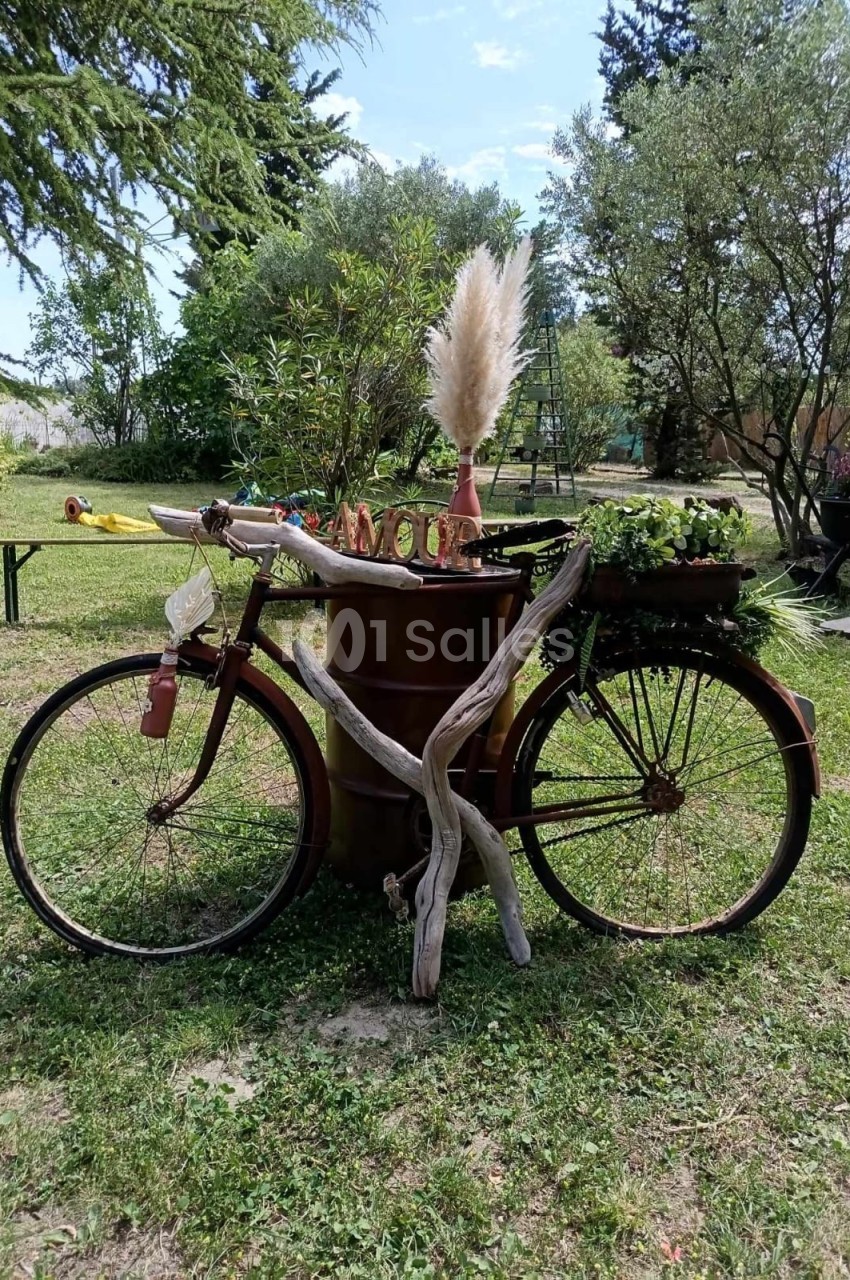 Vélo ancien décoratif avec des plantes et des fleurs, placé dans un jardin verdoyant par une journée ensoleillée.