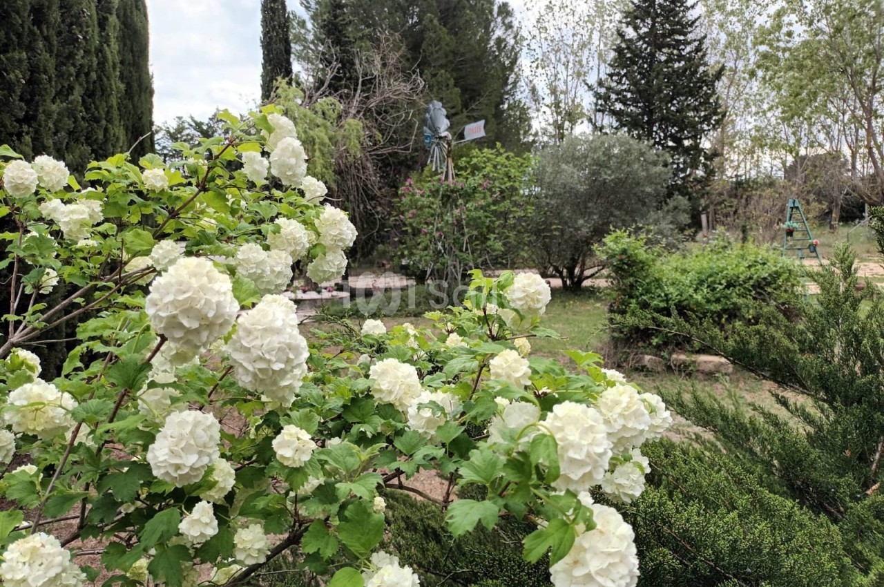 Arbuste en fleurs blanches dans un jardin verdoyant avec des arbres et des éléments décoratifs en arrière-plan.
